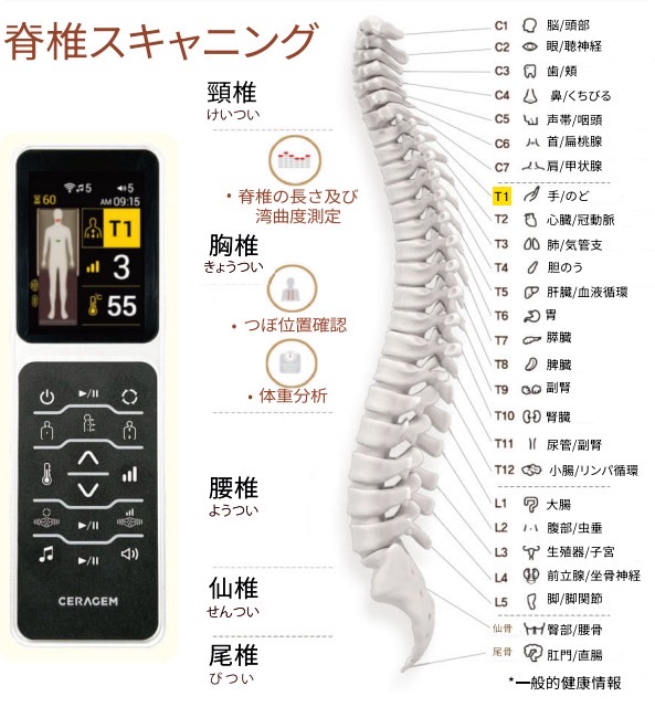 脊髄スキャン